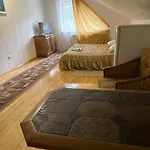 еліт * سفاليافا