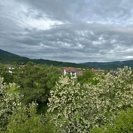 еліт Hotel *