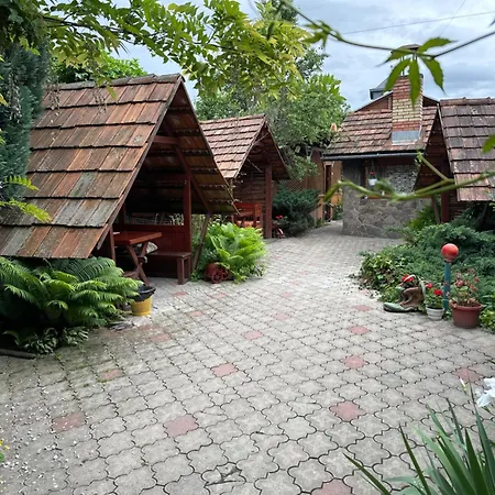 еліт Svalyava