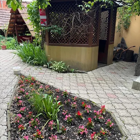 Hotel еліт Svalyava