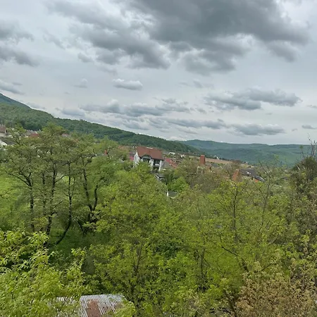еліт