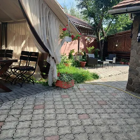 еліт *