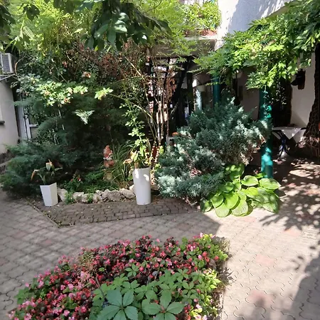 еліт