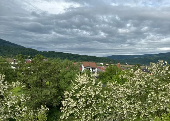 еліт Szálloda *