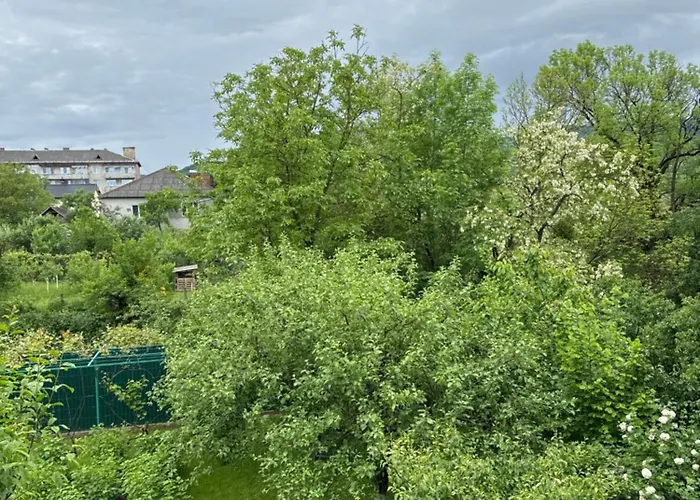 еліт